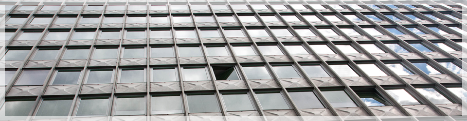 Romana Sladič - odvetnica